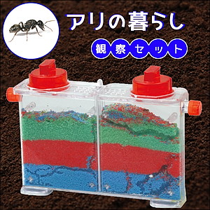 「生物」アリさん観察セット