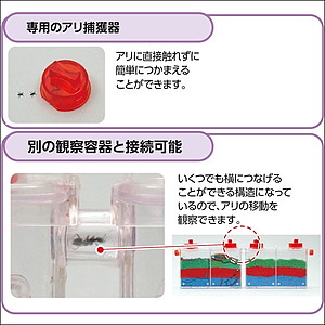 「生物」アリさん観察セット