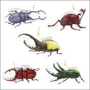 ビニールヨーヨー　カブトムシとクワガタのパンチボール　18個+予備2個