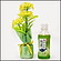 春の装飾　菜の花ラッピングポット　H26cm