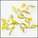 春の装飾　菜の花ガーランド　L180cm