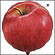 アイブレックスバルーン　果物風船　りんご　14インチ　5枚