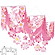 桜装飾　和桜プリーツ2連ペナント　L160cm