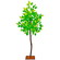 天然木使用　新緑若葉立木　H124cm
